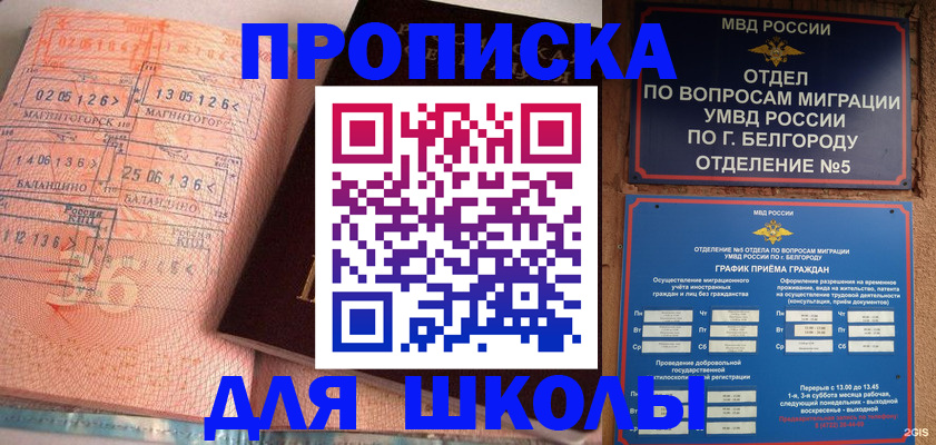 прописка иностранных граждан в Мензелинске